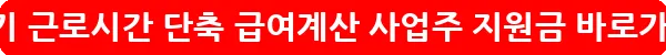 육아기 근로시간 단축 급여계산 사업주 지원금_8