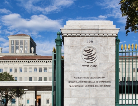 유명희 WTO