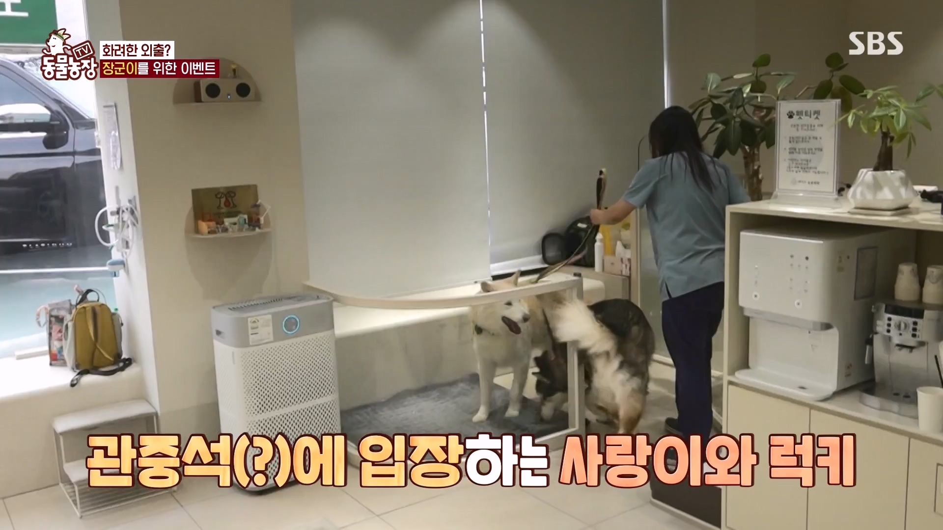 TV 동물농장.E1166.240407p-NEXT.mp4_20240407_164457.210.jpg