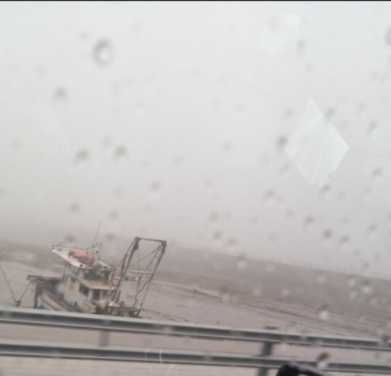 치과보험 추천 치과보험추천 내용은 1