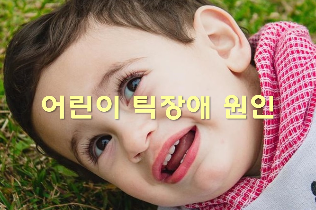  어린이 틱장애 원인과 종류