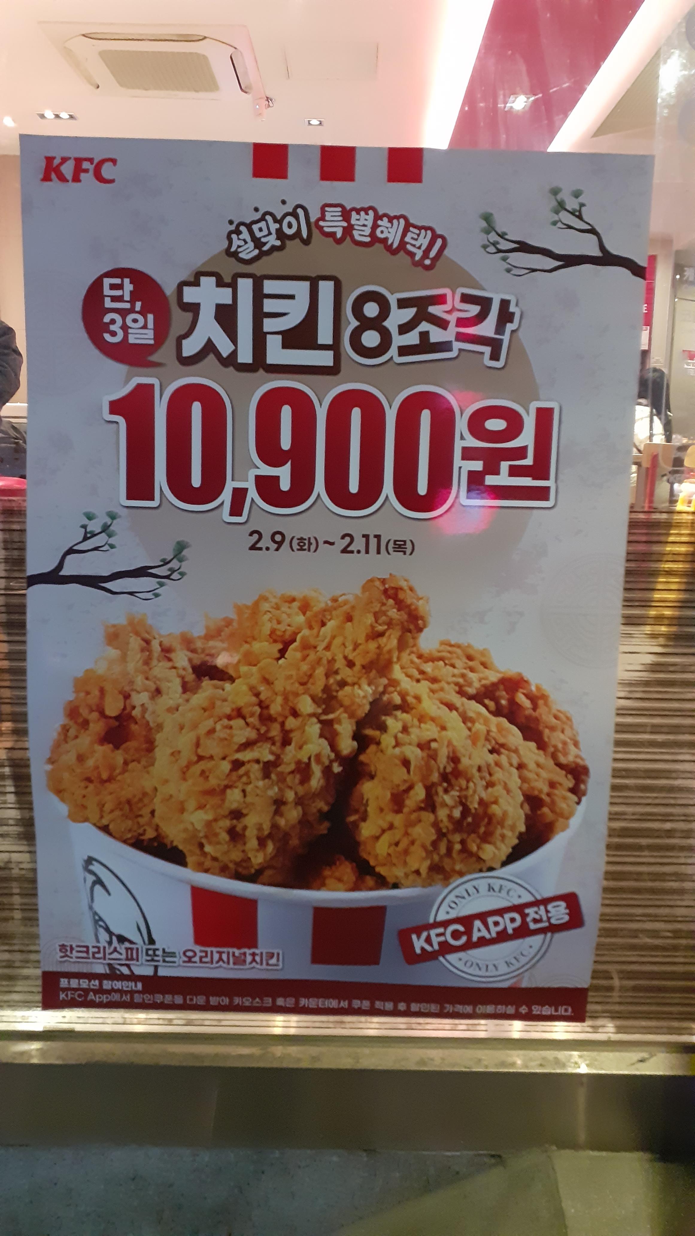 [내돈내산]이틀내내 치킨 ㅎ케이에프씨KFC/노랑통닭