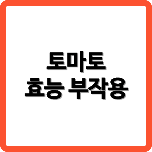 토마토의 효능