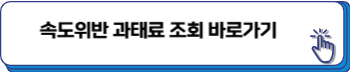 과속 단속 실시간 조회
