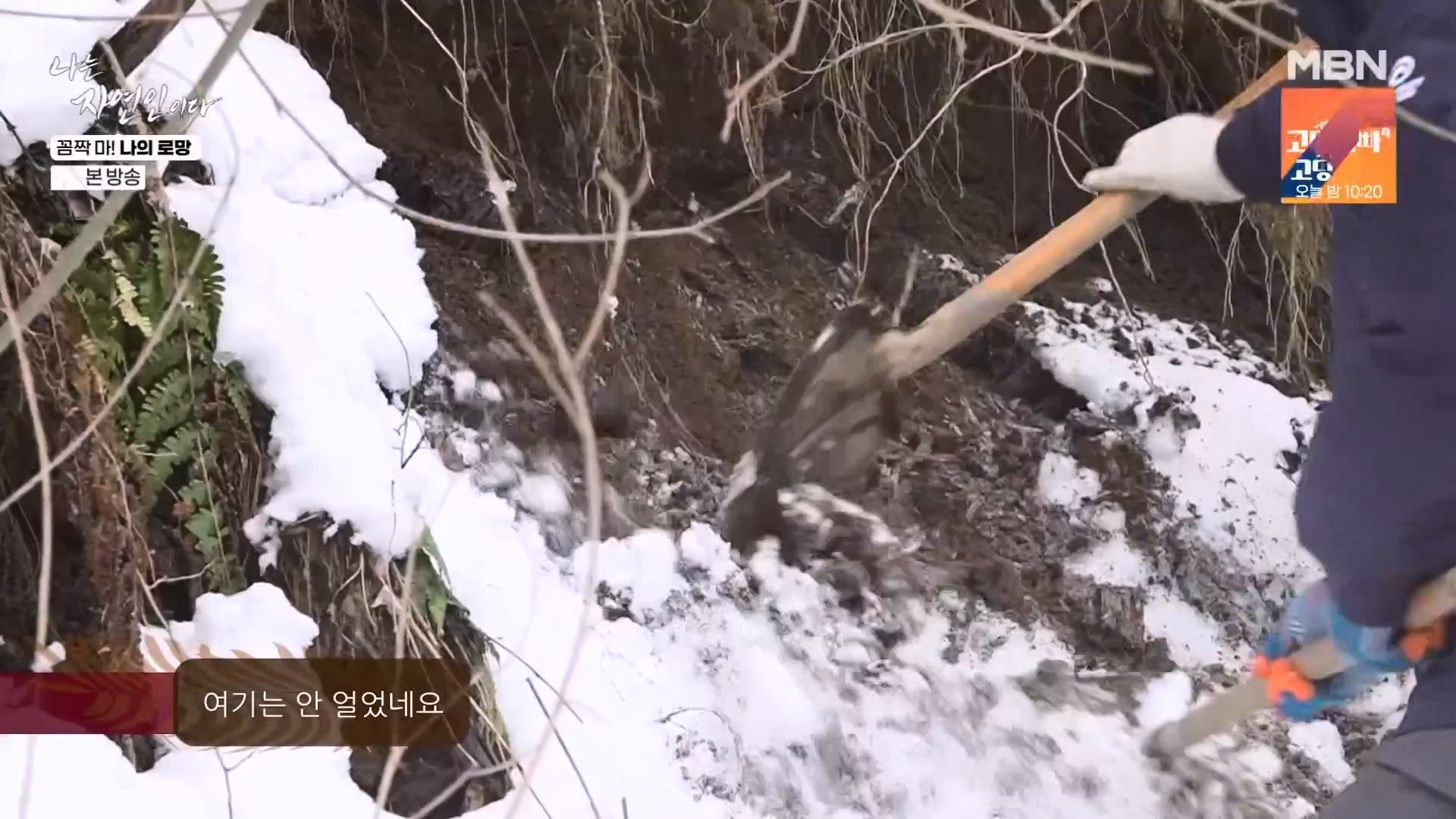 나는 자연인이다.E598.240320p-NEXT.mp4_20240321_202631.682.jpg