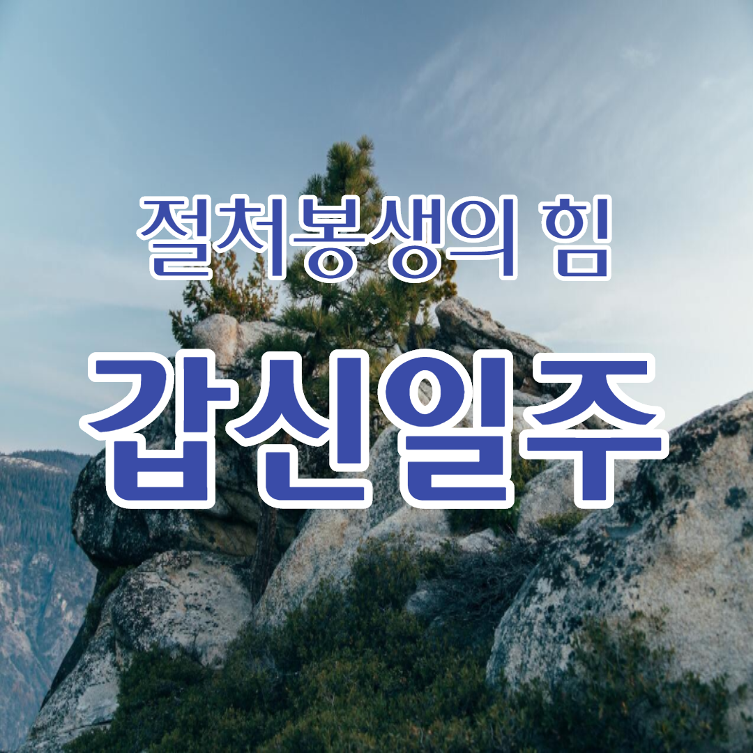  21. 절처봉생의 힘, 갑신일주