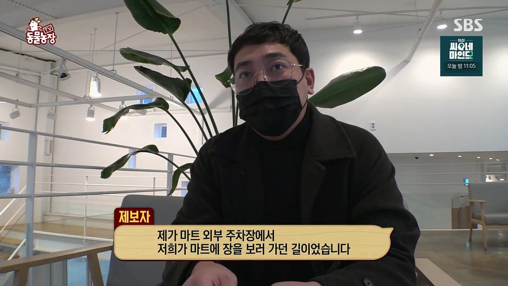 TV 동물농장.E1115.230409p.H264-F1RST.mp4_20230409_173034.681.jpg