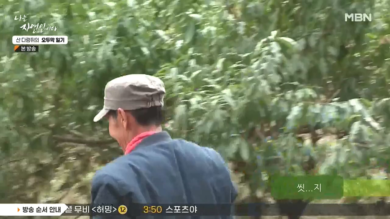 나는 자연인이다.E525.221027p-NEXT.mp4_20221027_192800.373.jpg