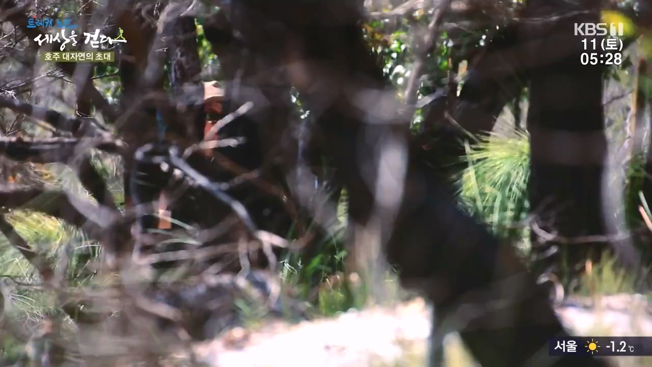 트레킹노트 세상을 걷다.E296.231112p-NEXT.mp4_20231111_182051.760.jpg