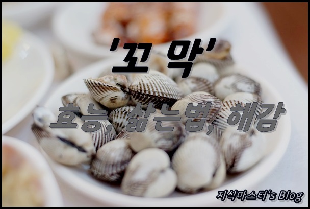  꼬막 효능, 삶는 법, 해감 방법 - 꼬막철 꼬막 먹어야지