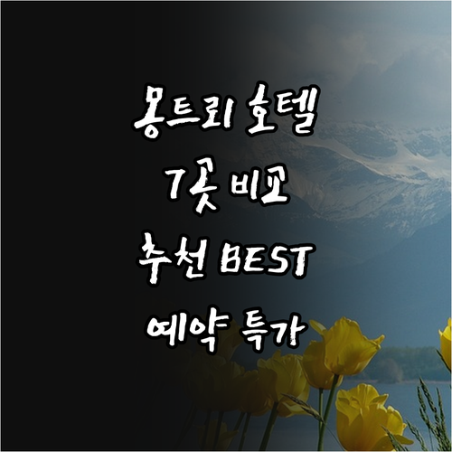 몽트뢰 호텔 추천 7곳 비교분석