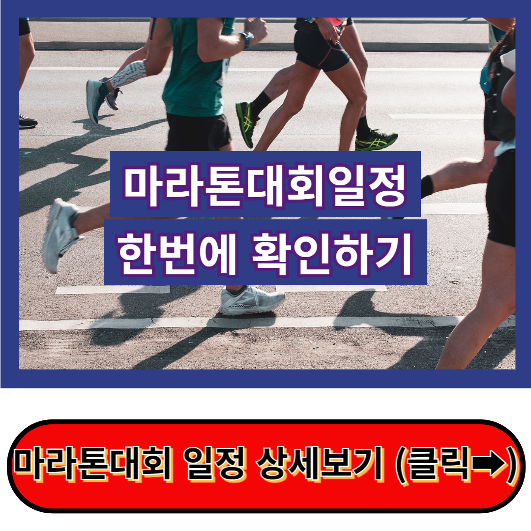 오늘도 달리는 러너들을 위한 2024 마라톤대회 일정&#44; 한번에 간단하게 정리!