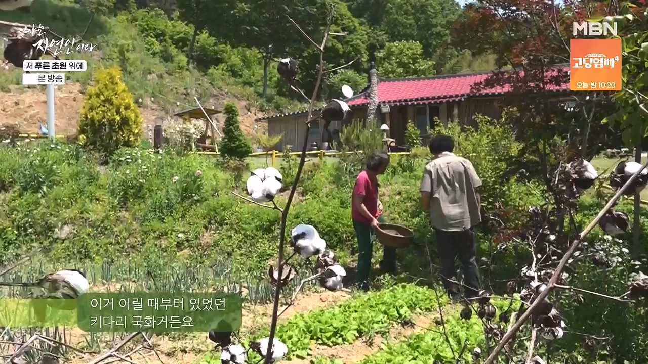 나는 자연인이다.E607.240530p-NEXT.mp4_20240530_200519.031.jpg