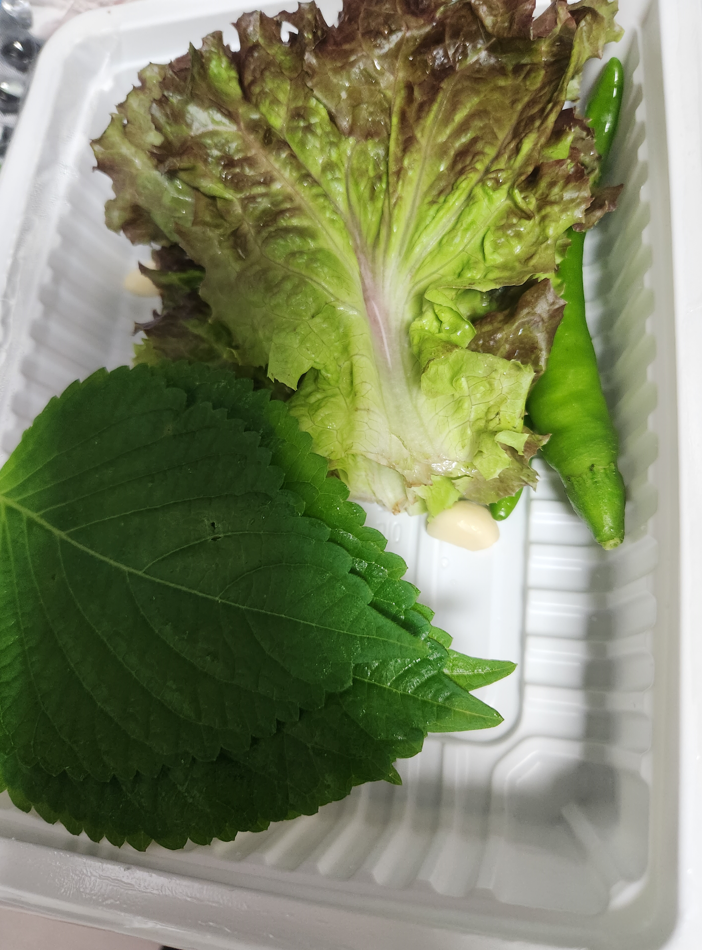 쌈 야채