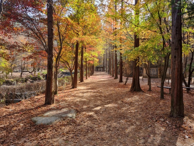 산책로