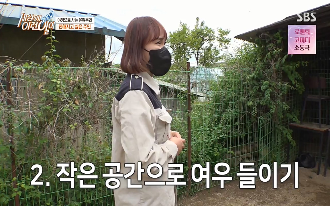 순간포착 세상에 이런일이.E1179.220511p-NEXT.mp4_20220511_175828.902.jpg