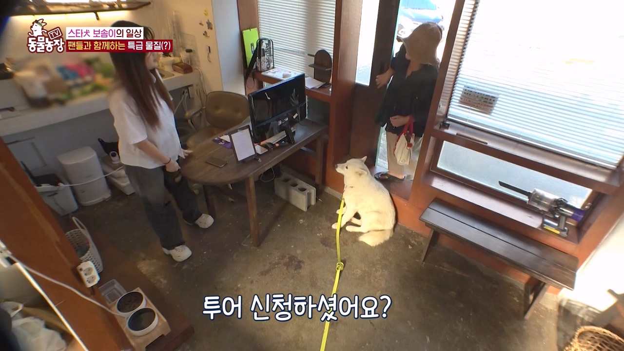 TV 동물농장.E1134.230821p-NEXT.mp4_20230820_193338.382.jpg