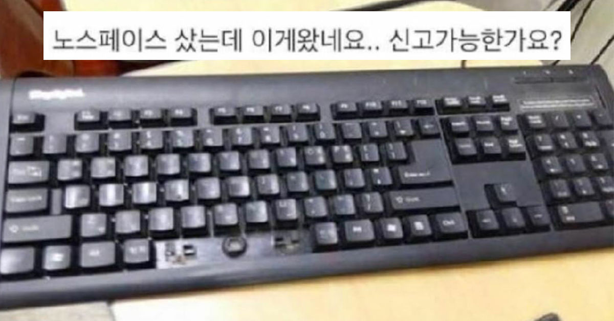 허언증 갤러리 레전드 모음 ㅋㅋㅋ