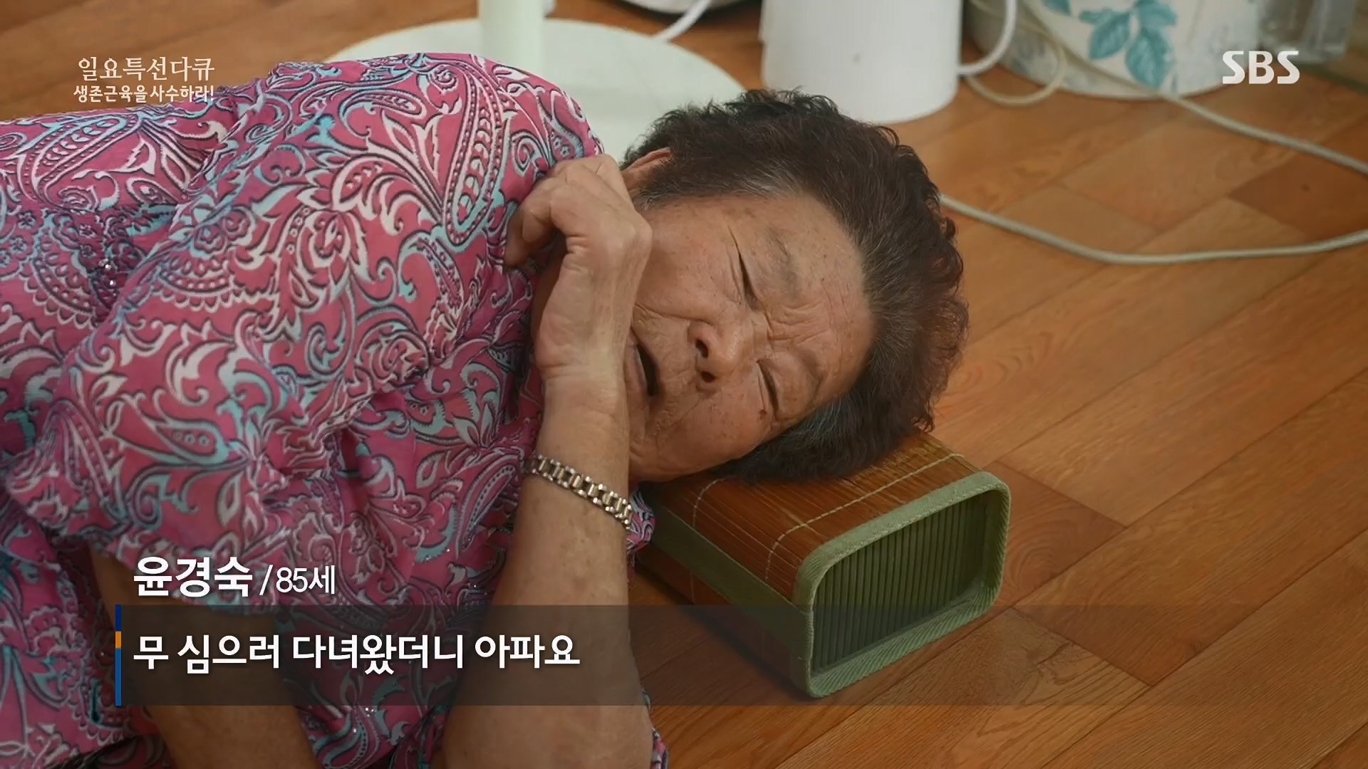 일요 특선 다큐멘터리.E319.230910p.H264-F1RST.mp4_20230918_202628.638.jpg
