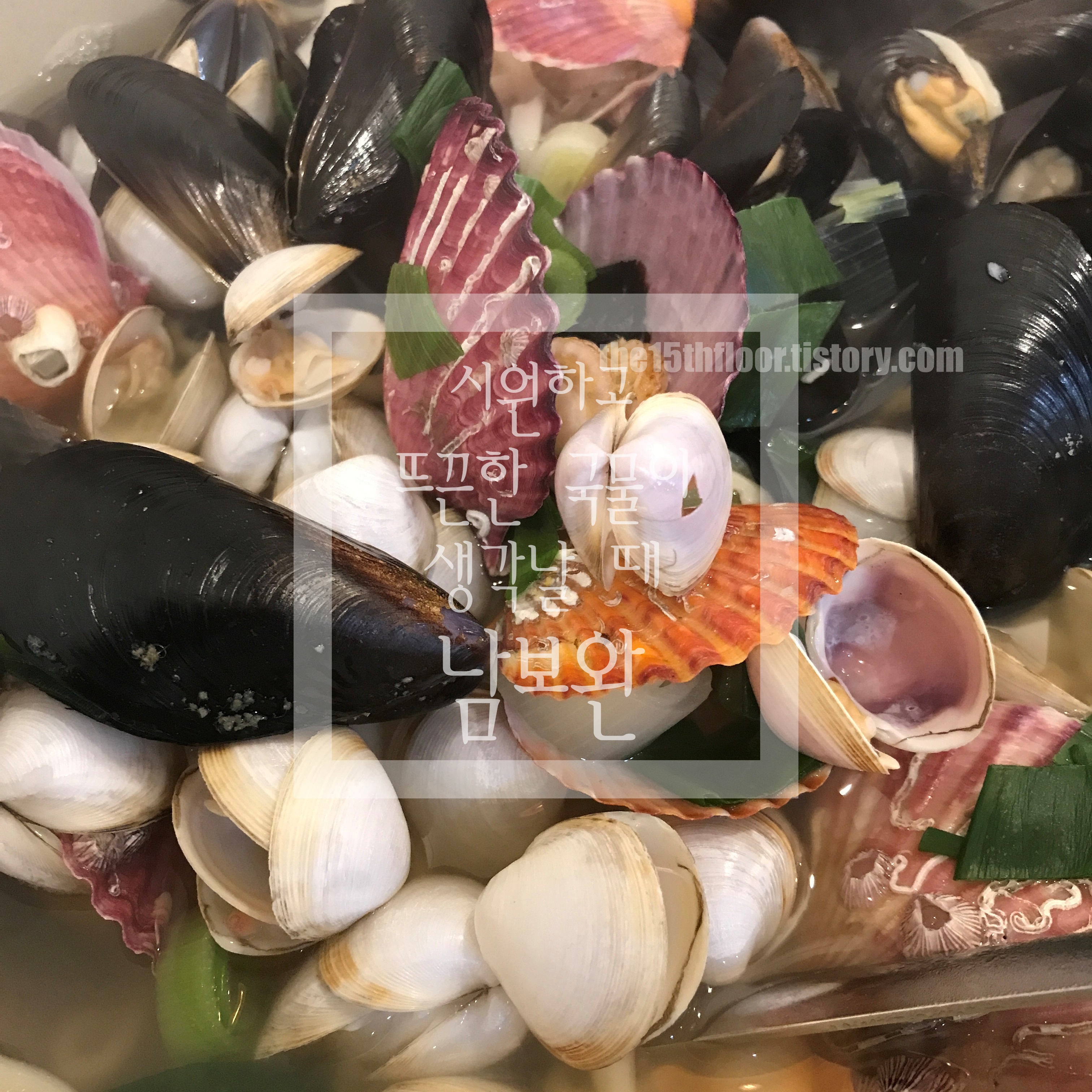  [경남 양산 '남보완'] 추운 겨울 시원하고 따끈한 국물의 칼국수가 생각날 때! 맛난 해물칼국수 여기 있습니다.