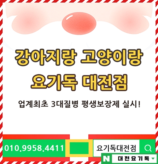  대전애견분양 3대질병 평생보장으로 건강한 아이들만!