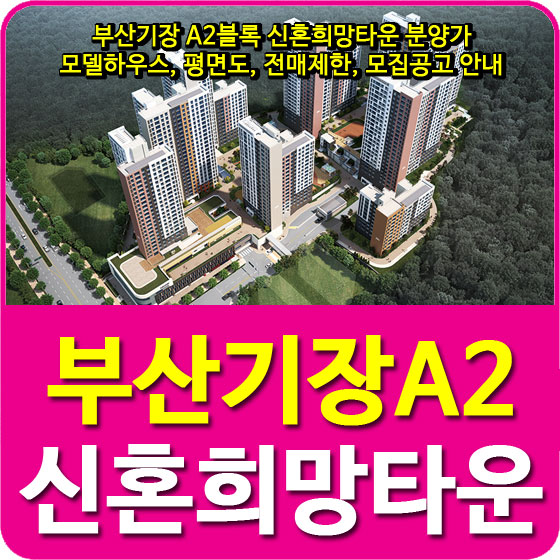  부산기장 A2블록 신혼희망타운 분양가 및 모델하우스, 평면도, 전매제한, 모집공고 안내