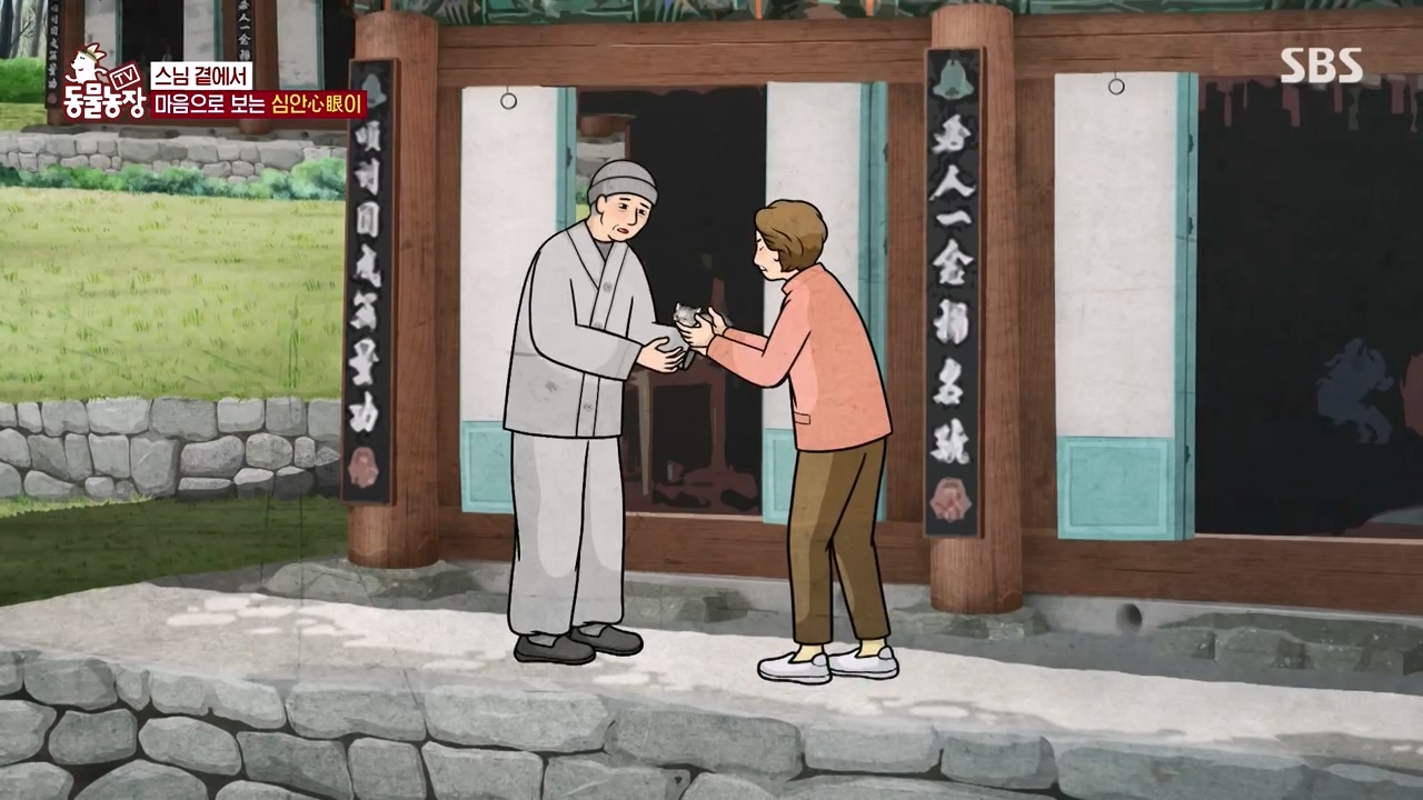 TV 동물농장.E1143.231030p-NEXT.mp4_20231029_161413.240.jpg