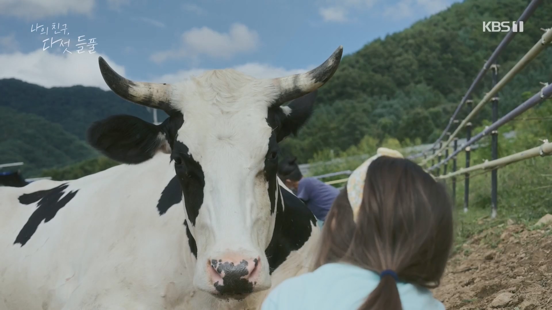 특집 다큐 나의 친구, 다섯 들풀.240119p.H264-F1RST.mp4_20240121_151743.128.jpg