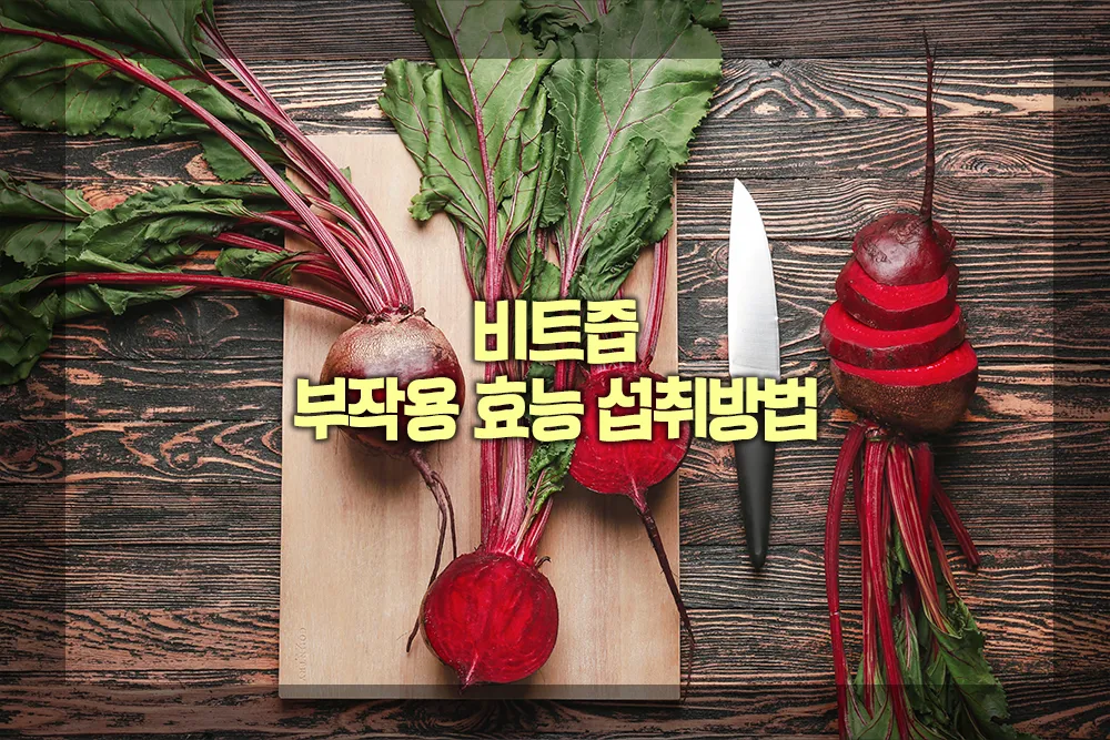 비트즙 부작용 효능 섭취방법