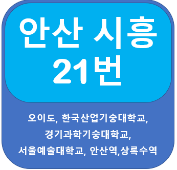  안산 21번 버스 노선 안내(시흥, 안산역, 오이도)