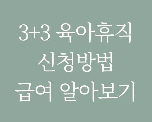 3+3 육아휴직신청방법