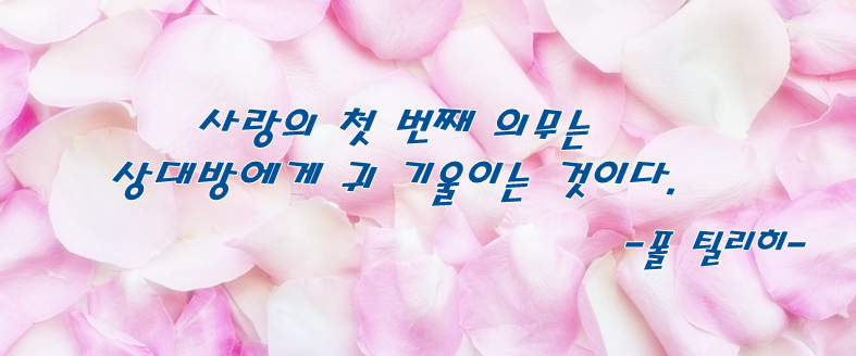 사랑 글귀 모음