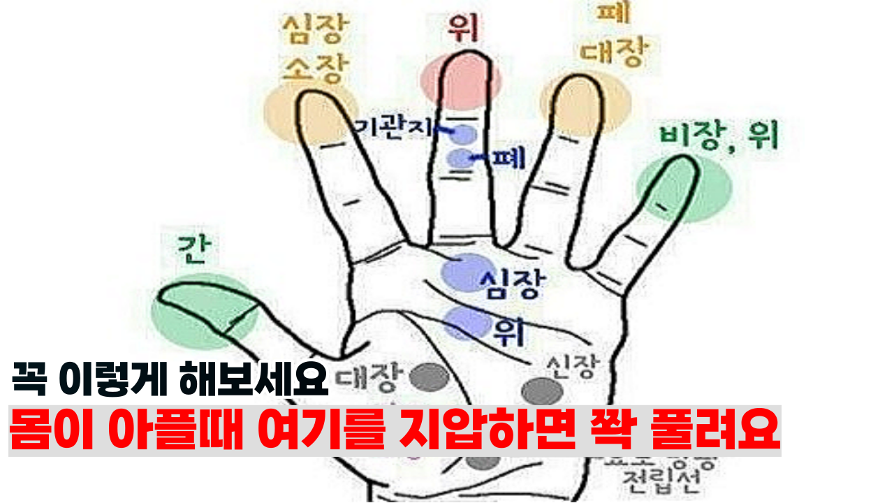  '몸이 안좋을때 좋은 지압점' 여기 아플때 꼭 이곳을 지압하세요 몸이 쫙 풀립니다.
