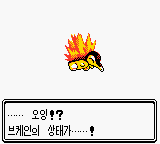몬스터 골드 이미지
