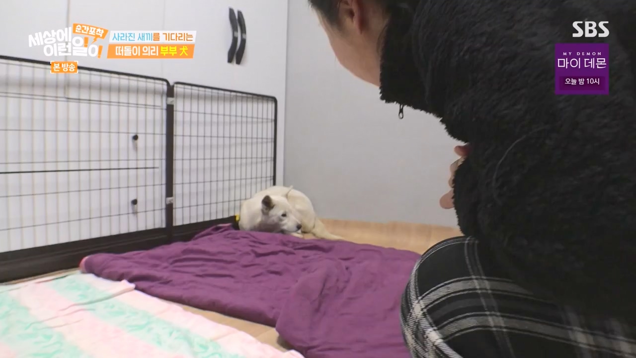 순간포착 세상에 이런일이.E1254.231203p-NEXT.mp4_20231203_140546.224.jpg