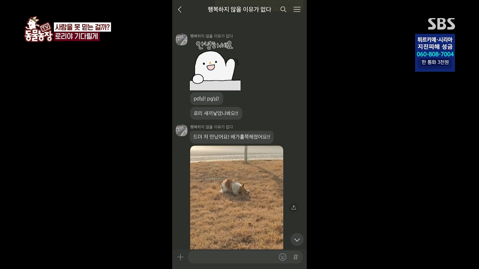 TV 동물농장.E1109.230219p.H264-F1RST.mp4_20230219_142851.462.jpg