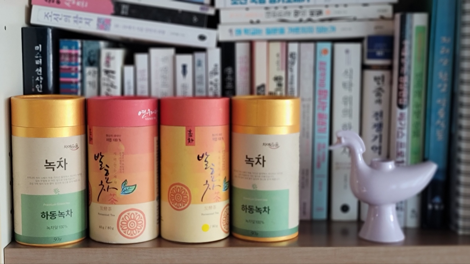 해찬솔 이미지