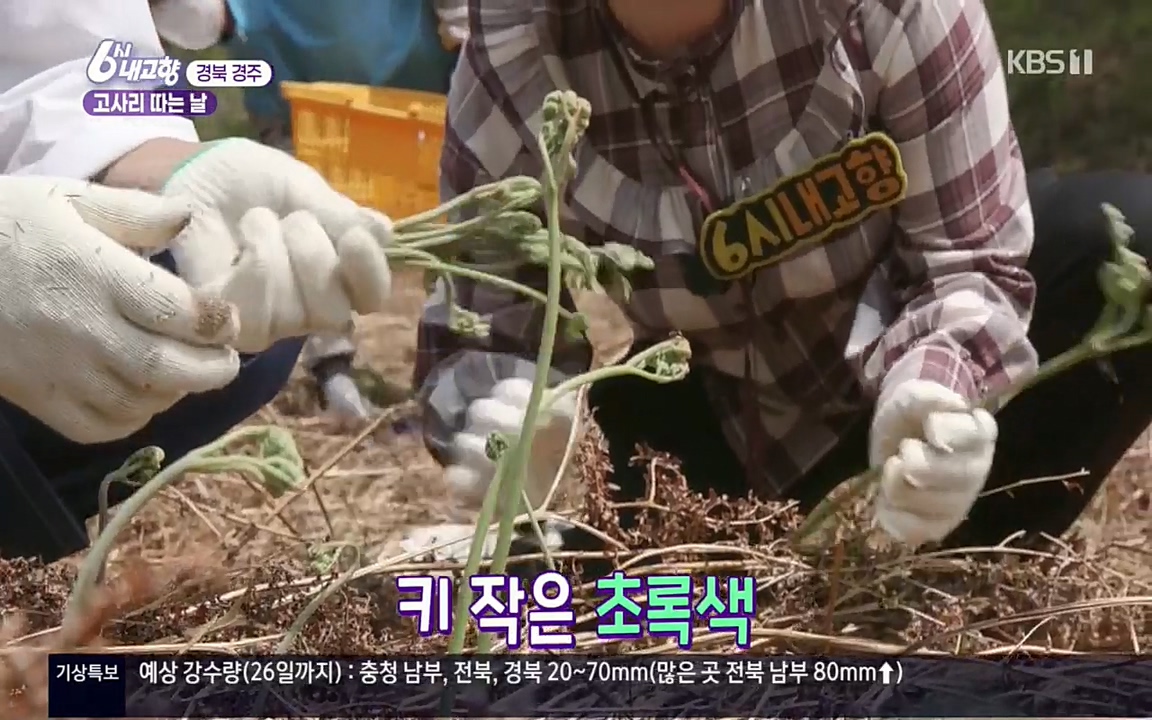 6시 내고향.E7518.220426p.H264-F1RST.mp4_20220504_185151.640.jpg