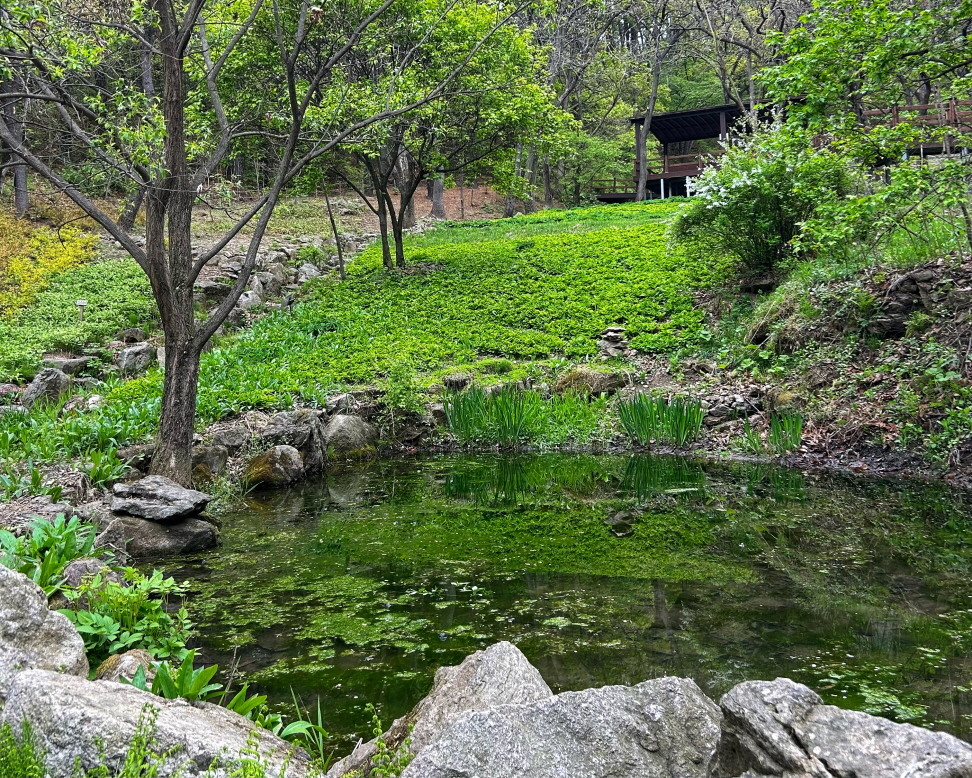 용인자연휴양림 예약 이용요금 정보