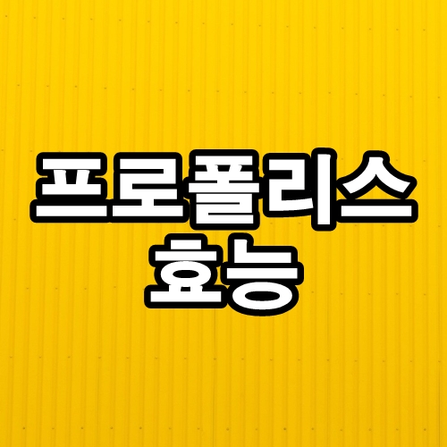  프로폴리스 효능 알아보기