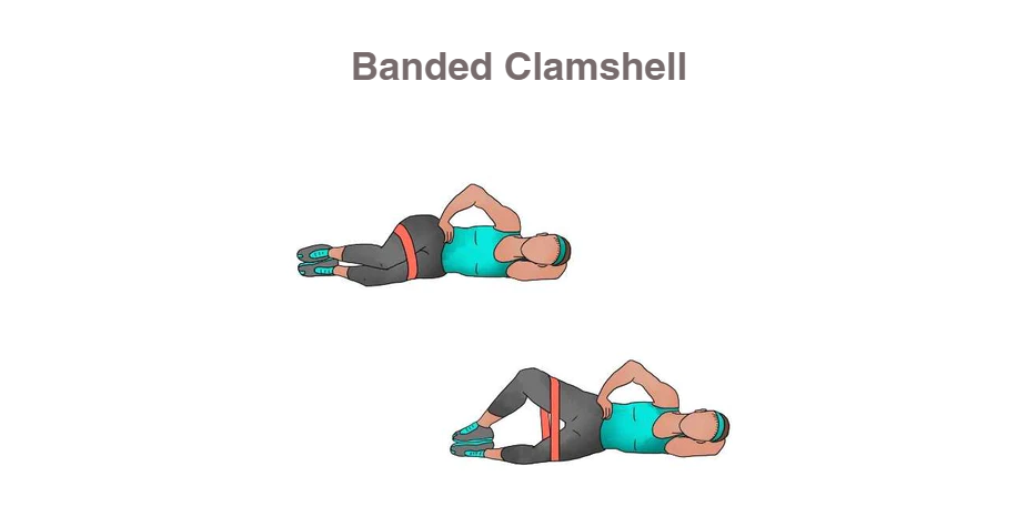대둔근 중둔근 소둔근 위치와 운동방법(FEAT. 엉덩이 근육)