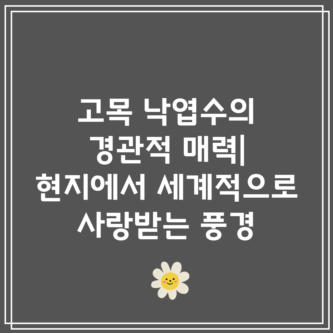 고목 낙엽수의 경관적 매력 현지에서 세계적으로 사랑받는