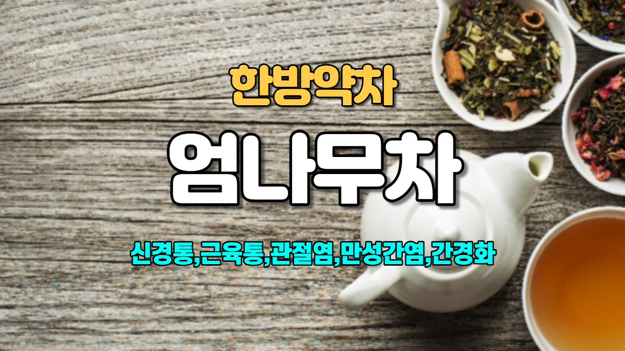  엄나무차