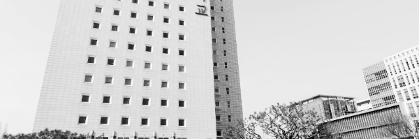 서강대, 연세대, 중앙대 등