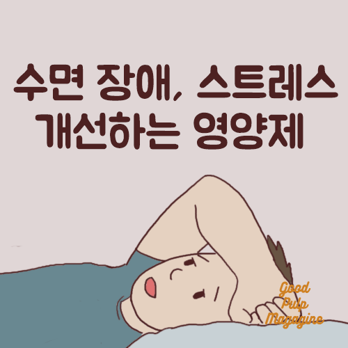 나우푸드 더블 스트렝스 L-테아닌 효능