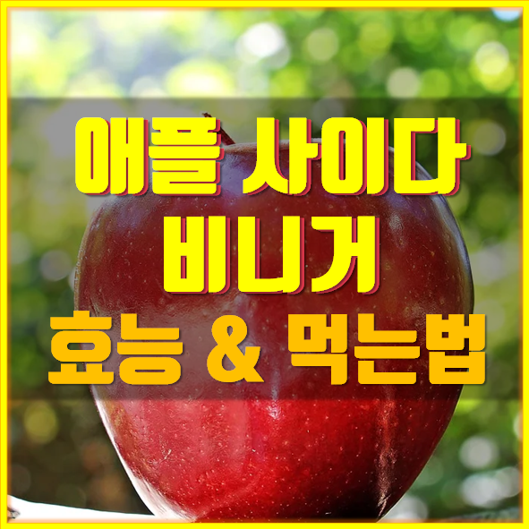  애플 사이다 비니거 효능 먹는법