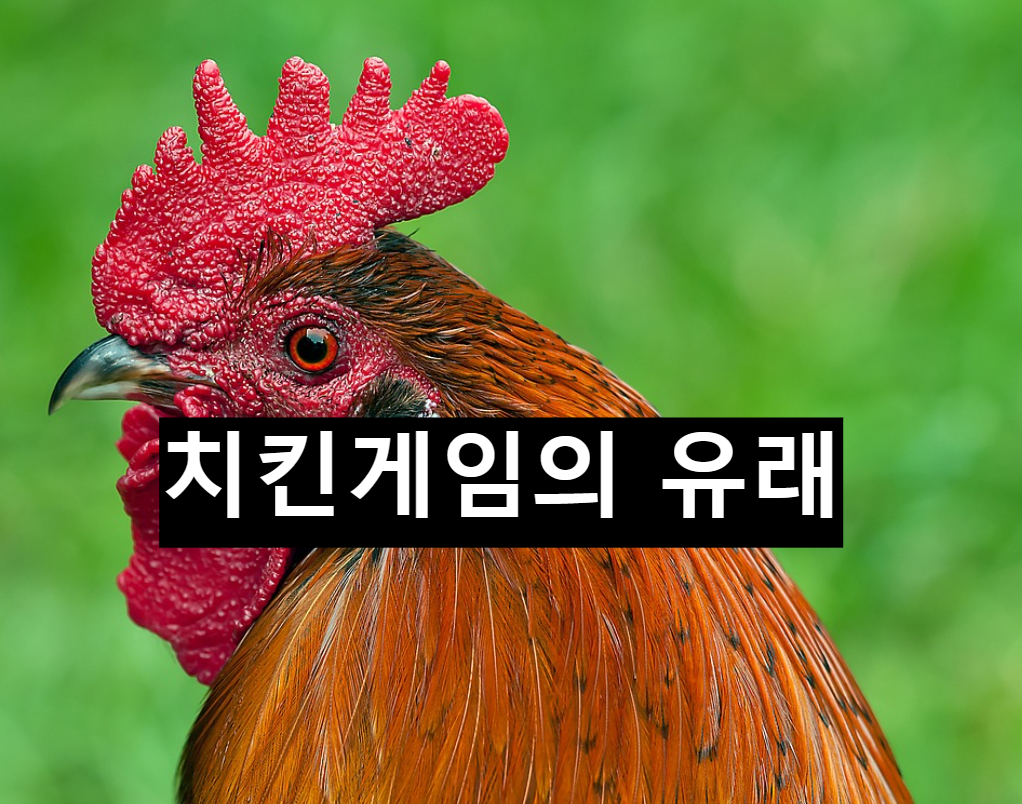  치킨게임이 어디서부터 나온 말일까?