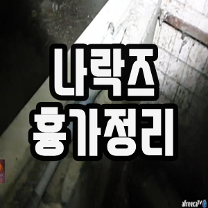  나락즈 흉가 정리