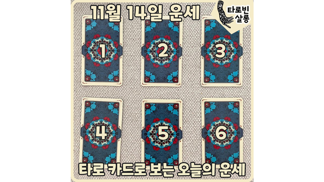  [11월 14일 운세] 타로 카드로 보는 365일 운세