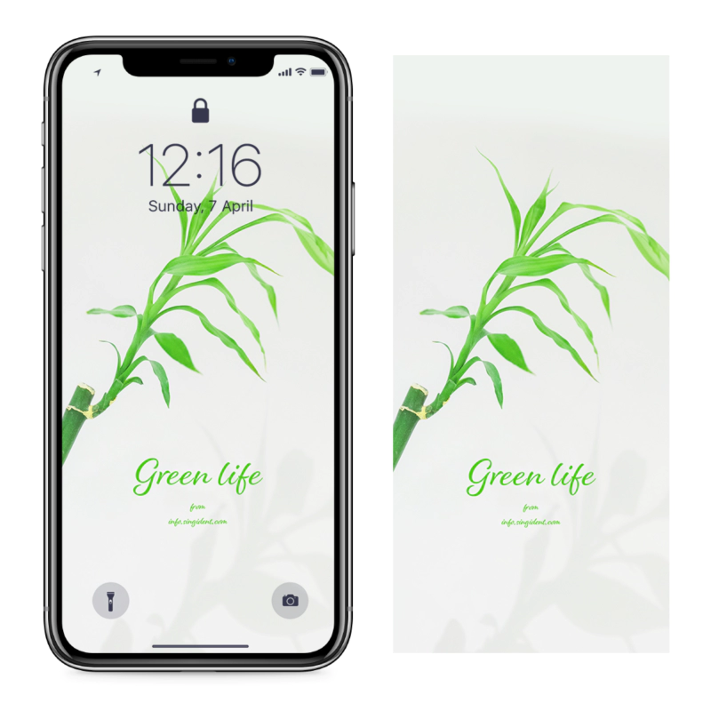 03 대나무가지 C - Green life 아이폰연두색배경화면